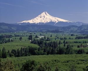 Mt Hood